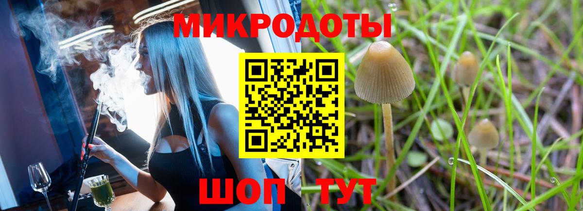 Кувандык  Галлюциногенные грибы мицелий  даркнет сайт  Вход с VPN 